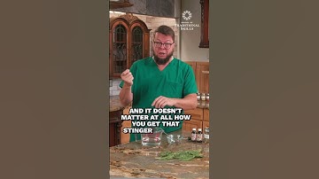 How to Get the Stinger Out if You are Stung by a Bee