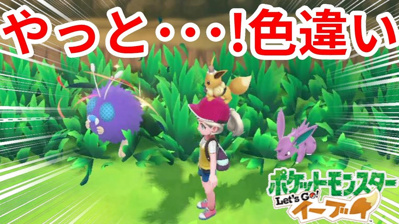 色違いコンパン 久しぶりに目当てのポケモンできたー ポケモンlet Sgo イーブイ Youtube