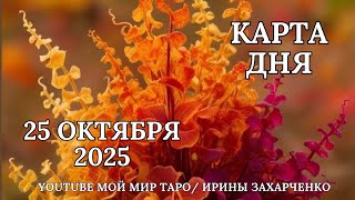 25 октября 🍂Карта дня🎃Развернутый Таро-Гороскоп/Tarot Horoscope+Oracle_today от Ирины Захарченко.