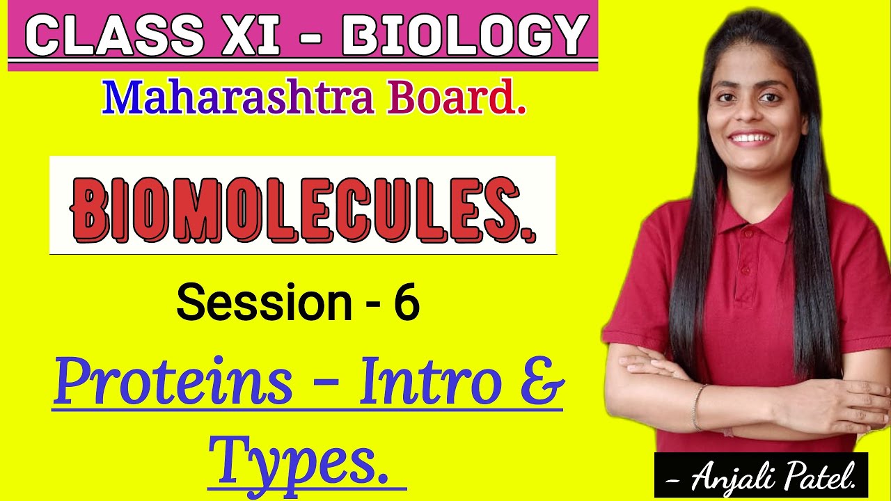 Class XI Biology Biomolecules Proteins Introduction and it's types