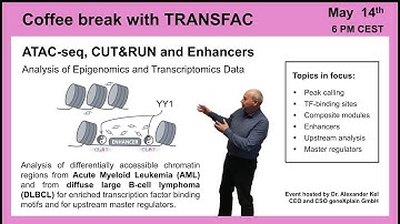 ATAC-seq, CUT&RUN and Enhancers
