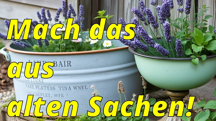 Vintage ideas for your garden that instantly exude charm