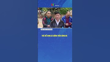 Thả bổ sung cá giống các thuỷ vực năm 2025