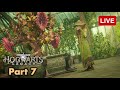 🔴Hogwarts Legacy Livestream PART 7 | zkael★