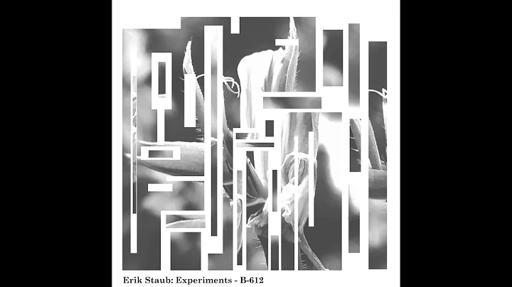 Erik Staub: Experiments - B-612