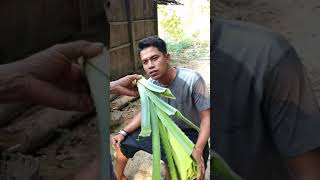 Cara Tradisional Mengeluarkan Ulat Gigi