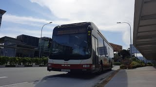 SMRT MAN A22 (SMB1323Y) on service 901 enter & depart from bus stop (Woodlands South exit 1)