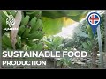 Planet sos iceland pioneering sustainable food production