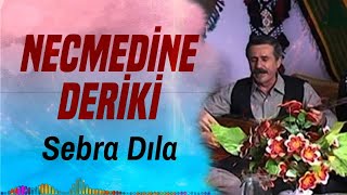 Necmedine Deriki - Sebra Dıla