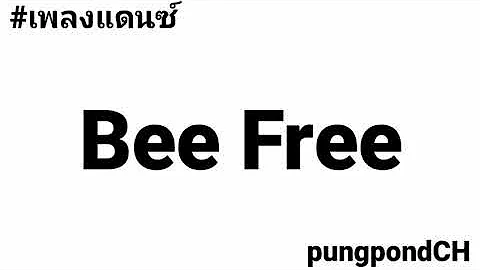 #เพลงแดนซ์ Bee Free (บี ฟรี)