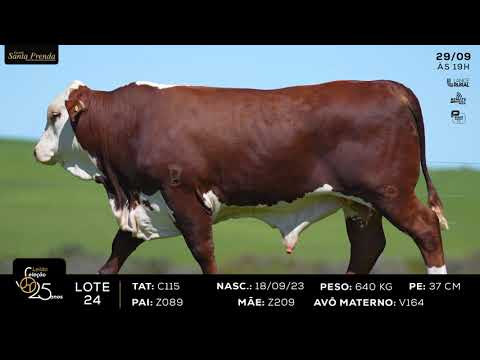LOTE 024