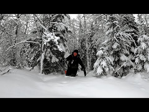 Видео: ПОШЕЛ В ЛЕС НАШЕЛ ОЗЕРО. УДАЧНАЯ РЫБАЛКА В ГЛУХОЗИМЬЕ НА ЖЕРЛИЦЫ И МОРМЫШКУ.