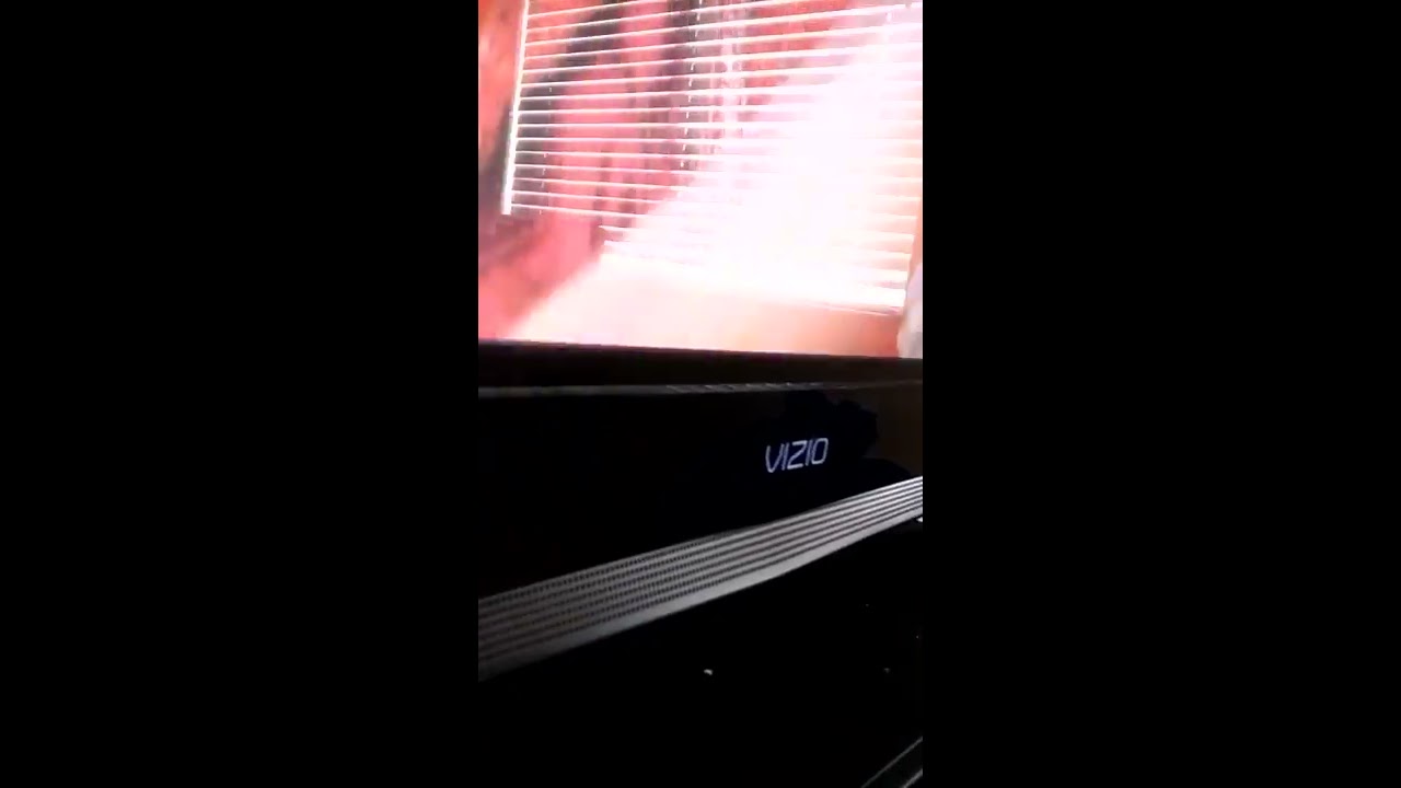 Roots ( Forest Whitaker) violin wedding song!