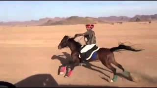 الحصان السكب والخيال دواس سعود البراهيم التميمي