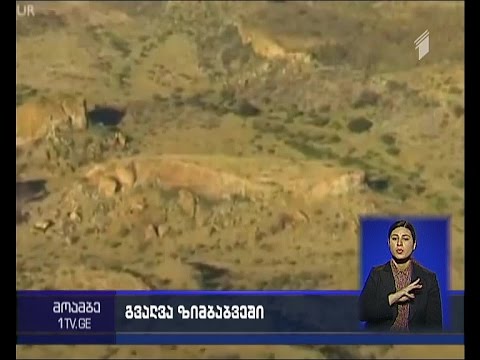 გვალვის გამო ზიმბაბვეს რამდენიმე რეგიონში საგანგებო მდგომარეობა გამოცხადდა