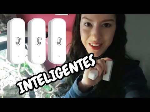 Termómetros - Higrómetros WiFi 📶 AliExpress en nuestros terrarios. ¿Dónde irán? | daden Reptilera