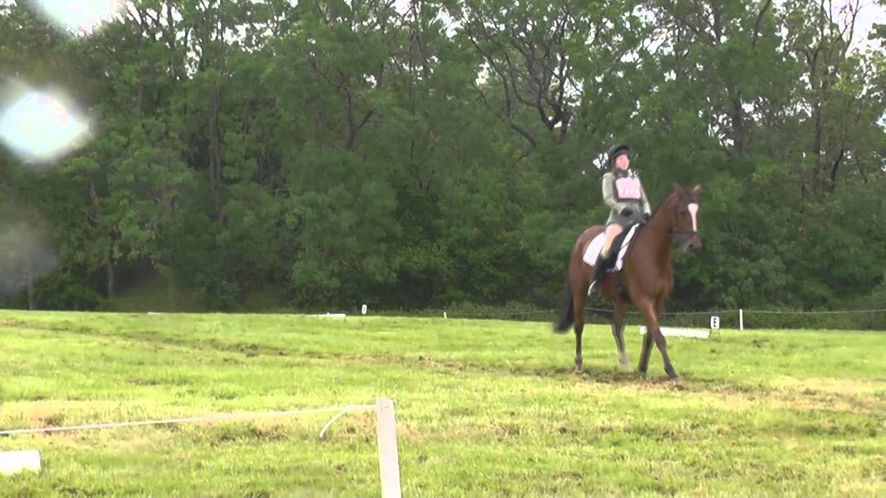 Standlynch Accolade, Borde Hill ONu18 - 2nd