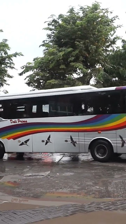 Bus Dali Prima 'Surabaya - Bojonegoro' - Terminal Purabaya #shorts
