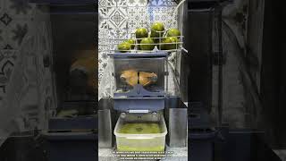 Best Innovation Juicing Machine: How to Extract Citrus Juice with Auto Squeeze System