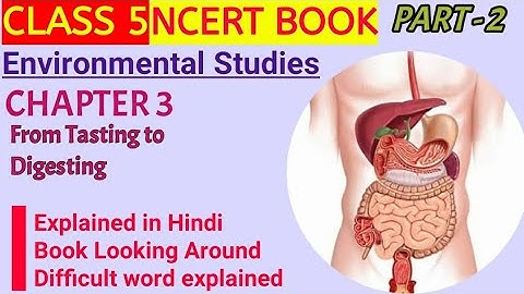 Chapter 3 - From Tasting to Digesting  - 2  || Class 5 Environmental Studies book Looking around