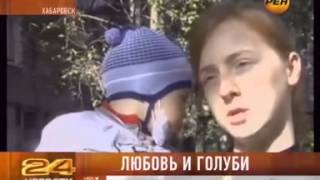 Любовь и голуби. Помогите маленькому Савелию Горшкову Любовь и голуби. Помогите маленькому Савелию Горшкову