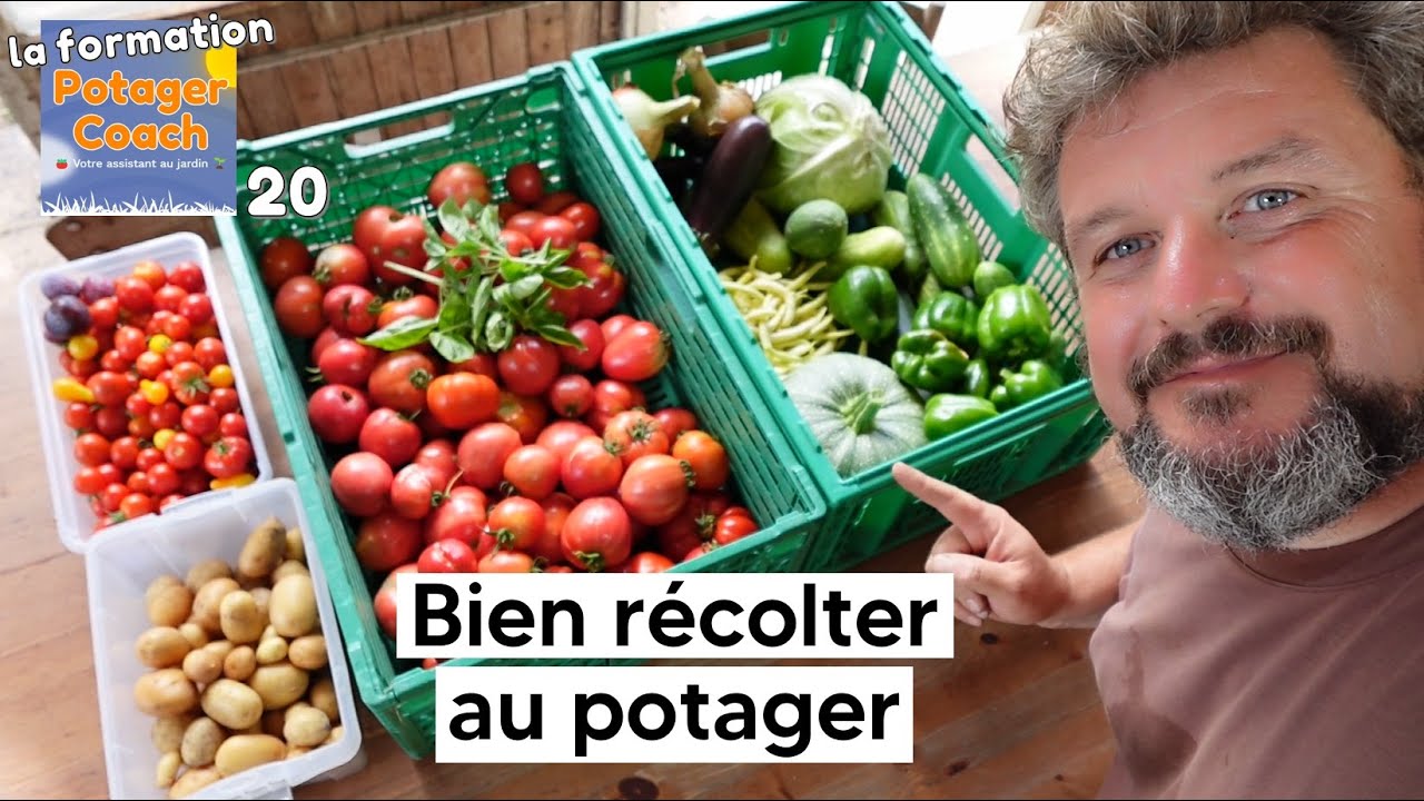 Bien RECOLTER au potager 【La formation Potager Coach - chapitre 20】