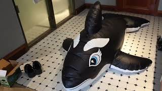 Inflatable Whale