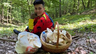 видео: Июльские грузди НЕ ДАЮТ ПРОХОДА! Посмотрите на это изобилие картинка: Июльские грузди НЕ ДАЮТ ПРОХОДА! Посмотрите на это изобилие