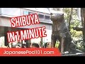 Shibuya in 1 minute - Best of Tokyo Districts