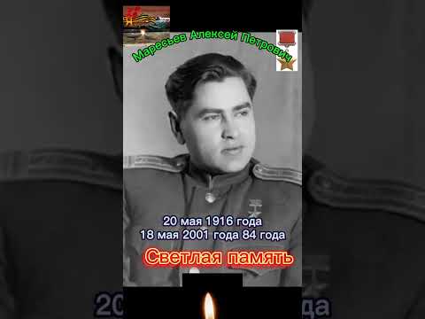 Маресьев Алексей Петрович. Герой Советского союза. Светлая.