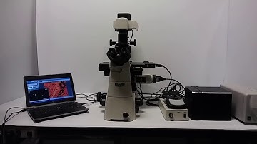 Nikon Eclipse Ti-U Motorized Inverted Microscope 4,20,40x Phase Contr Fluor TI-E - 10850