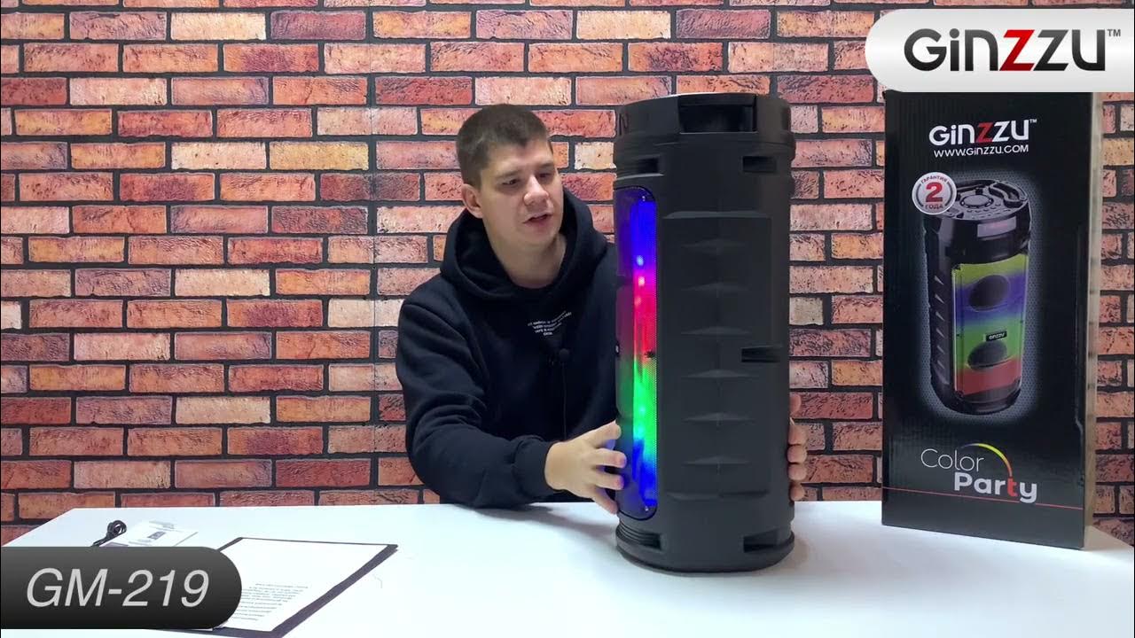 Ginzzu color party колонка. Колонка color party. Колонка color party. Колонка hopestar a6 x. Колонка ginzzu gm 208.