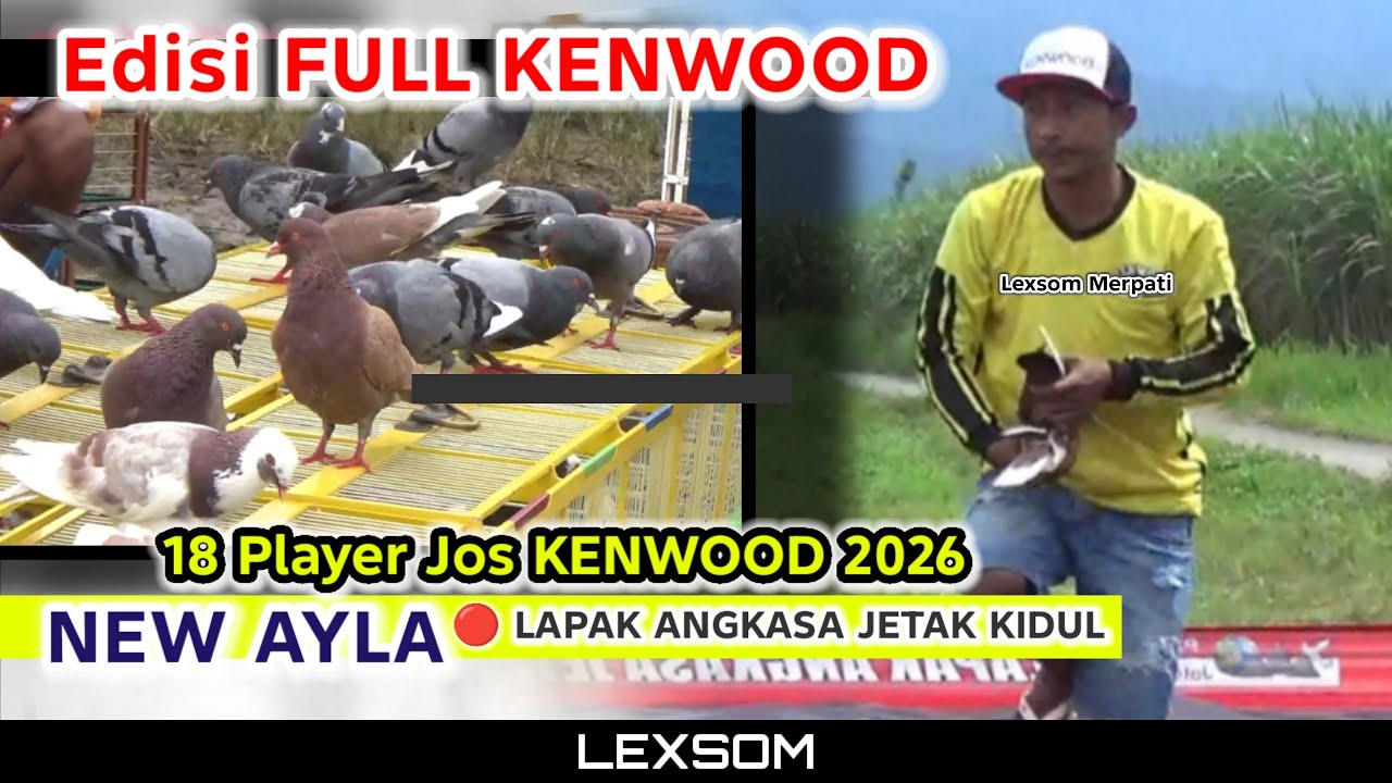 🔴 FULL AKSI ALL PLAYER KENWOOD; Event New Ayla lapak angkasa jetak kidul pekalongan