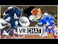 Movie Sonic & Sally Meet Sonic The Werehog! (VR Chat)