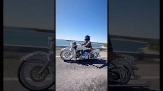 #chicanoland #harleydavidson #viclas #harley #softaildeluxe #classic #custom