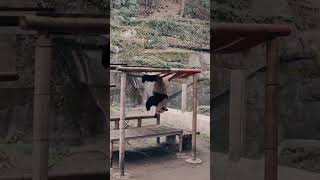 They are so cute though! 😂  #cute #cuteanimals #funny #funnyanimals #panda #howcute Information