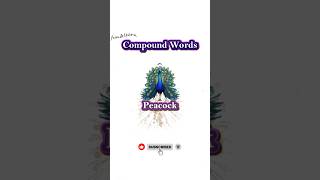 English compound words (part-19) 🇬🇧💕 #learning #english #kids #beginner #easy #education