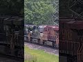 Lehigh Valley Heritage Unit, Union Pacific and Norfolk Southern at Big Sandy, Texas #shorts