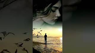 Bade Mahange Pade Mujhe Rishte Merelogon Ne Kahkar shayari youtubeshorts crazy Papai
