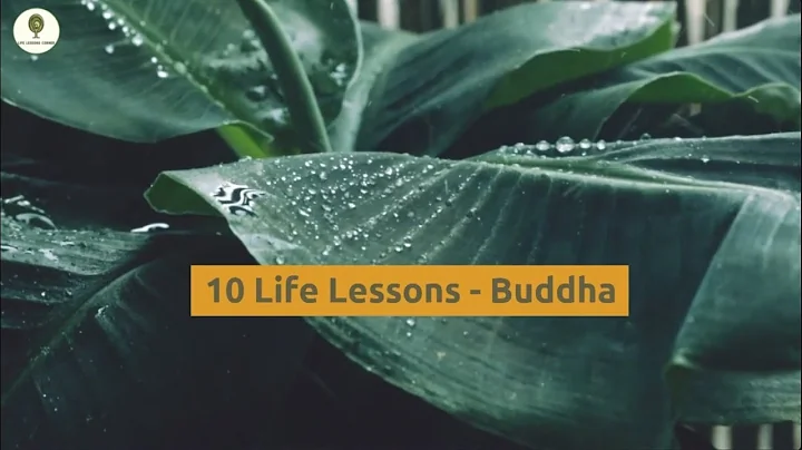 Discovering the Profound Teachings of Buddha: A Path to Enlightenment | Higher Knowledge