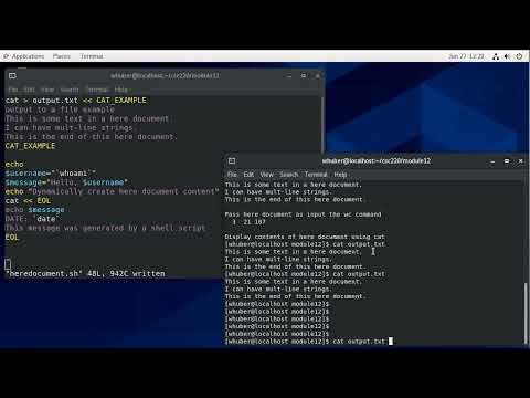 Bash Shell Programming - Here Documents