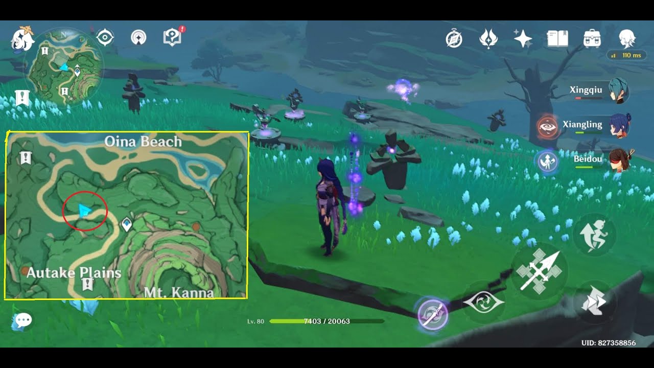 Lightning Strike Probe ArrowPuzzle between Autake Plains and Oina Beach Tsurumi Island GenshinImpact