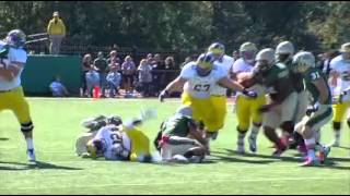 DeAndre Houston-Carson - W&M Highlights Wealth