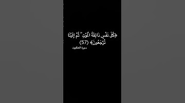 كُلُّ نَفْسٍ ذَائِقَةُ الْمَوْتِ ۖ ثُمَّ إِلَيْنَا تُرْجَعُونَ سورة العنكبوت #كل_نفس_ذائقة_الموت