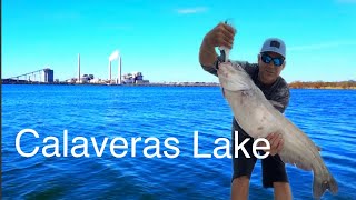 How I Catch Catfish and Redfish at Calaveras Lake using cutbait!