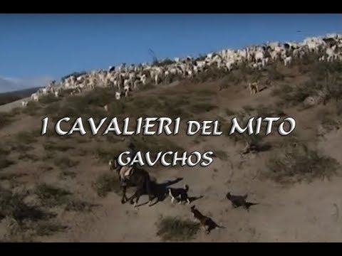 Video: Razza Di Cavallo Criollo Argentino Ipoallergenico, Salute E Durata Della Vita