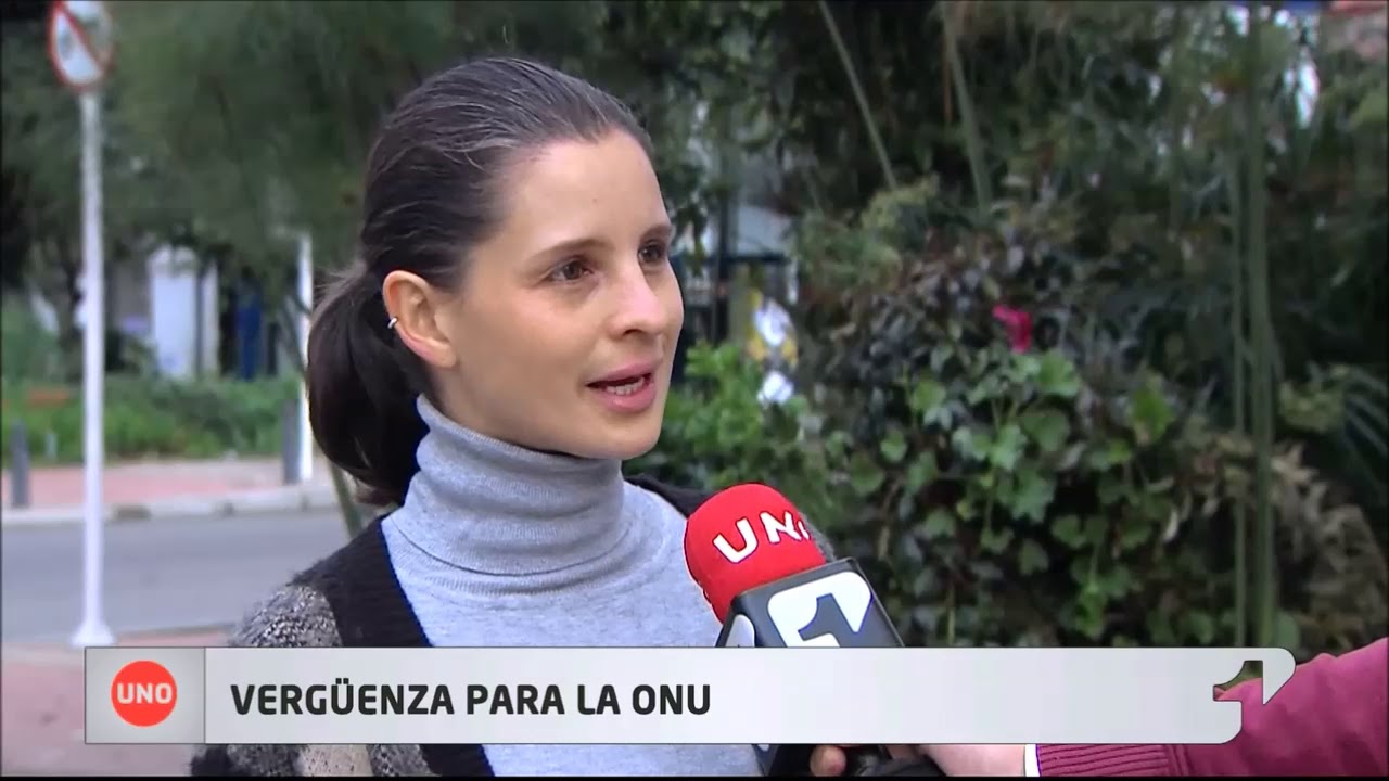 Funcionario de la ONU que golpeó a un perro iría a la cárcel de no ser por su fuero colombia vs argentina