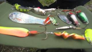 3. Angeltutorial übers Blinkern (Köder)