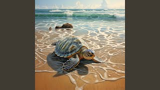 Gentle Ocean Lullaby for Pet Serenity