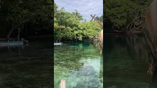 Solomon Islands - World Discoverer: Best Beach EVER!!!!